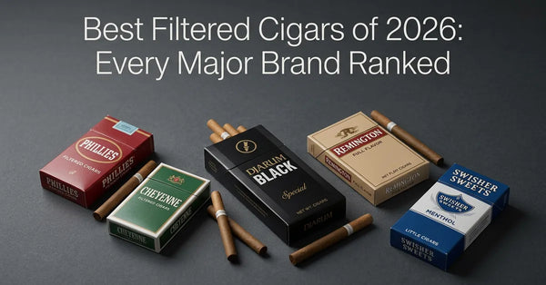 Best Filtered Cigars of 2026: Every Major Brand Ranked
