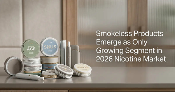 A retail display of modern nicotine pouches and smokeless tobacco products representing market growth.