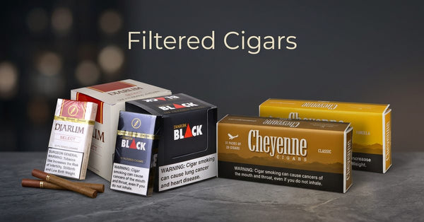 Djarum Black and Djarum Select filtered cigar packs next to boxes of Cheyenne filtered cigars